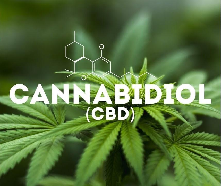 Каннабидиол CBD Oil: что это такое и его значение